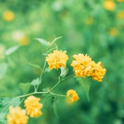 逆苍穹无限元宝破解版下载